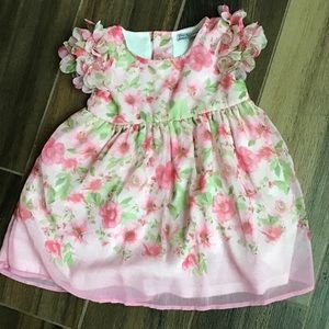 NWOT Gorgeous Floral Dress- 12 Months